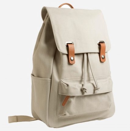 Twill Snap Backpack from Everlane