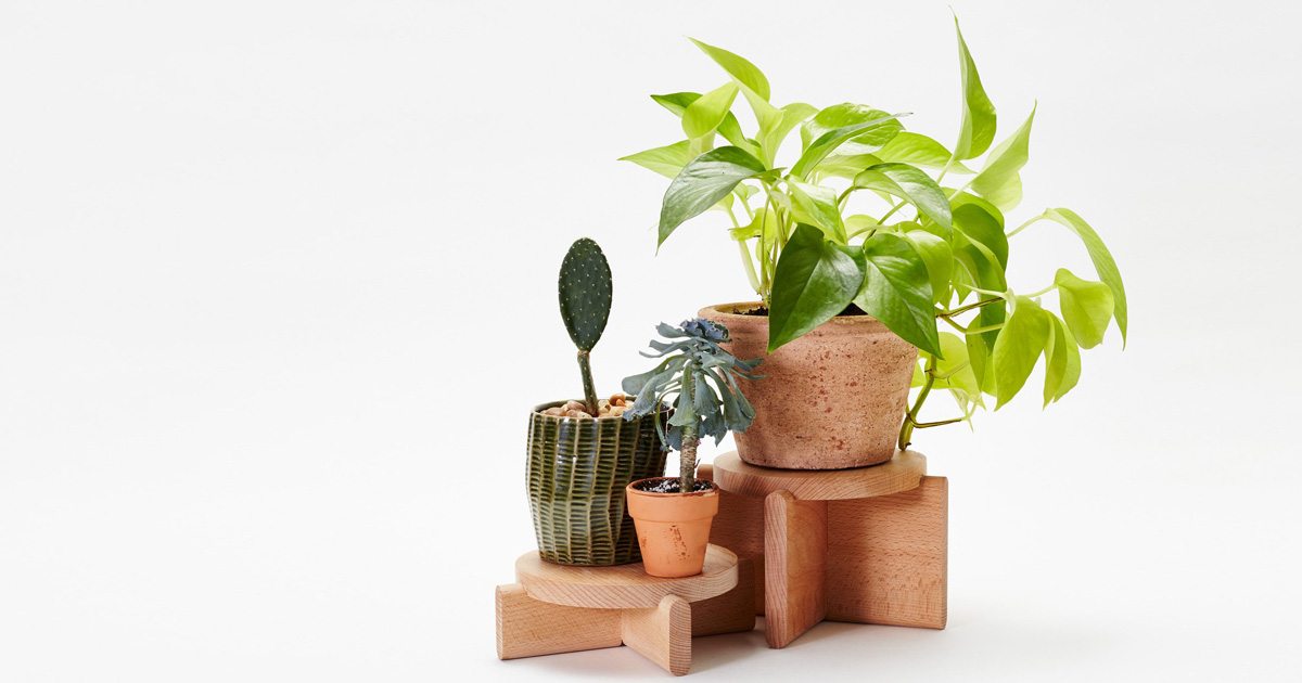Areaware Plant Pedestals are classic go-to gifts under $50